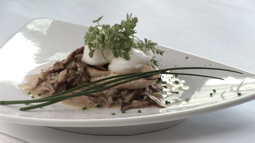 Tartine de champignons, œuf de caille et huile de truffe