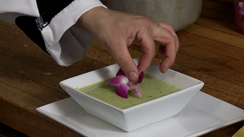 Soupe de courgette, poires et coriandre